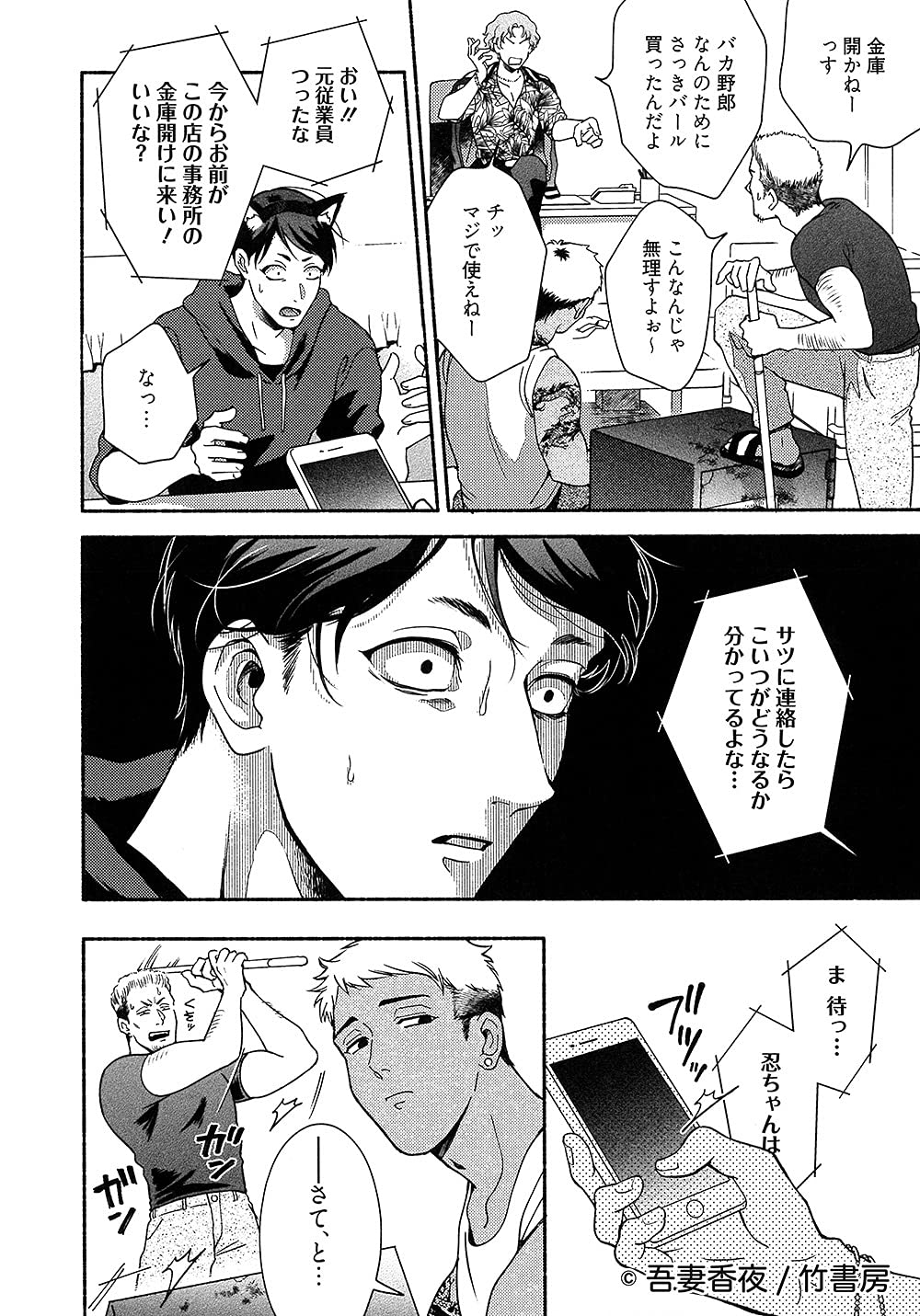 Amazon Fr 藤咲忍はかく語りき バンブー コミックス Reijin Uno Livres