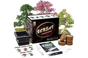 Meekear Bonsai Tree Kit with Complete Plant Growing Tools, Grow in Pot Indoor Bonsai Tree Starter Kit, Home Gardening DIY Gift for Adult