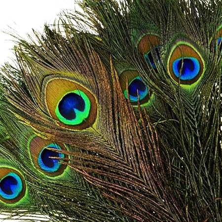 Vejaoo 100piezas Calidad Alta Plumas Del Pavo Real Con Los Ojos Naturales 10 12 Para La Decoracion Amazon Es Hogar
