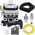 Panari GX35 Carburetor for Honda GX 35 HHT35S HHT35 String Trimmer 4 Stroke Small Engine Replace 16100-Z0Z-815 16100-Z0Z-034 WYB-16C