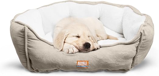 canine comfort premium pet bed