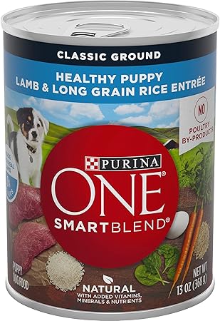 purina one canned food