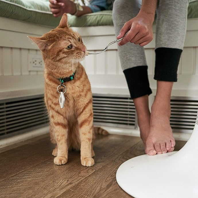 金盒特价 Tile Mate 多功能物品追踪器 查找器 2020版 6折.99 海淘转运到手约￥113