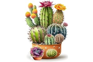BENJENES Diamond Painting Kits for Adults Cactus 5d Diamond Art Kits, Plant Flower Round Full Drill Diamond Paintings for Beginners, DIY Paint Diamonds Pictures Gem Art Painting Kits（12x16inch