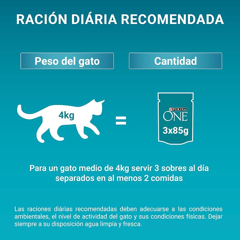 Purina one comida úmida para gatos adultos filés ao molho com frango 12 x [4 x 85 g]