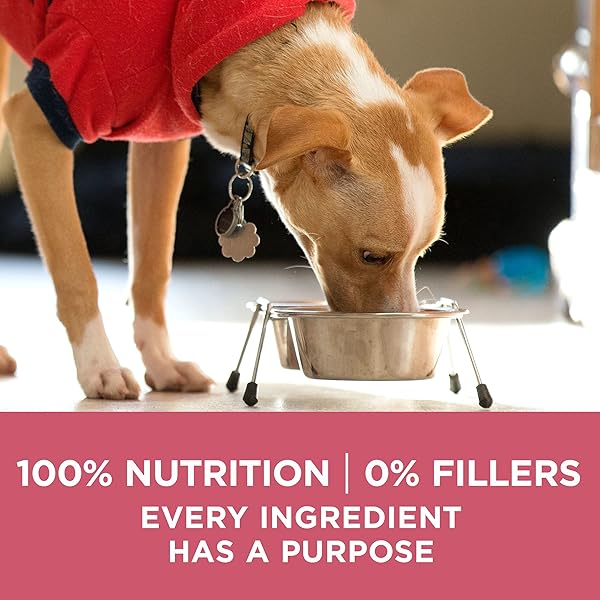 PURINA ONE NATURAL, SENSITIVE STOMACH DRY DOG FOOD, +PLUS SKIN & COAT FORMULA – 16.5 LB. BAG