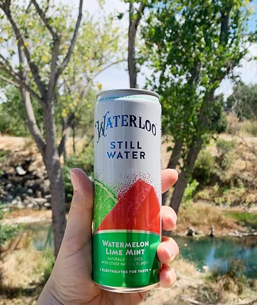 WATERLOO STILL WATER, WATERMELON LIME MINT NATURALLY FLAVORED PURIFIED WATER | 12 FL OZ CANS (PACK OF 12) – ZERO CALORIES AND ZERO SUGAR OR SWEETENERS