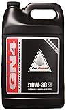 Honda Pro GN4 Motor Oil - 10W30-1