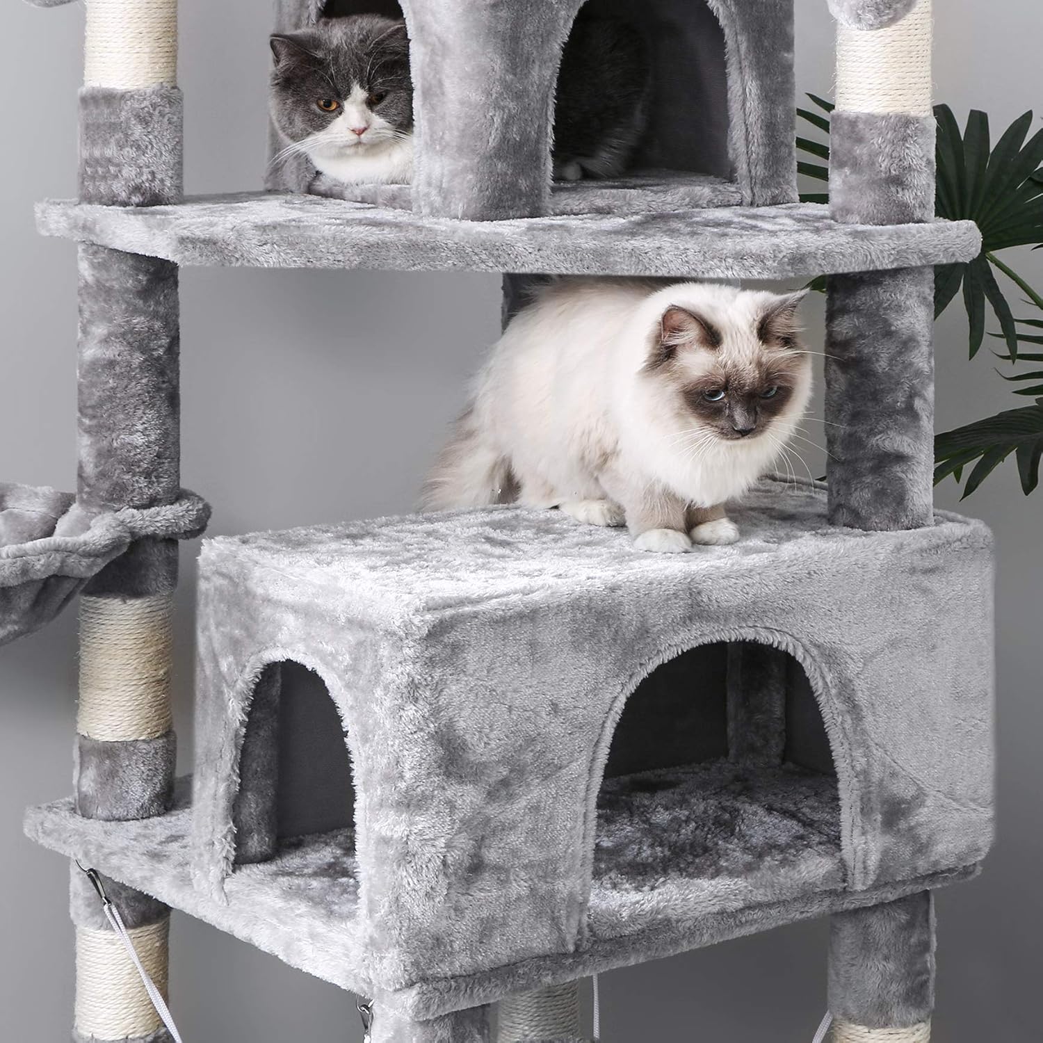 BEWISHOME Cat Tree 66.3 Inch Multi-Level Large Cat Tower with Plush Top Perches, Sisal Scratching Post Cat Play house Kitty Activity Center MMJ14L : Pet Supplies