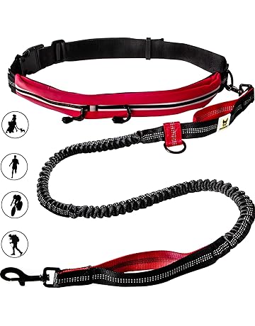 dog leads amazon
