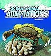 Ocean Animal Adaptations (Amazing Animal Adaptations): Murphy, Julie