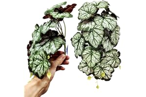 Woyrise Reptile Plants, Terrarium Hanging Plants Vines for Reptile Tank, Amphibian Habitat Leaves Decor with Suction Cups for Bearded Dragon Lizard Snake Gecko Frog Hermit Crab - 2Pack Green Heuchera