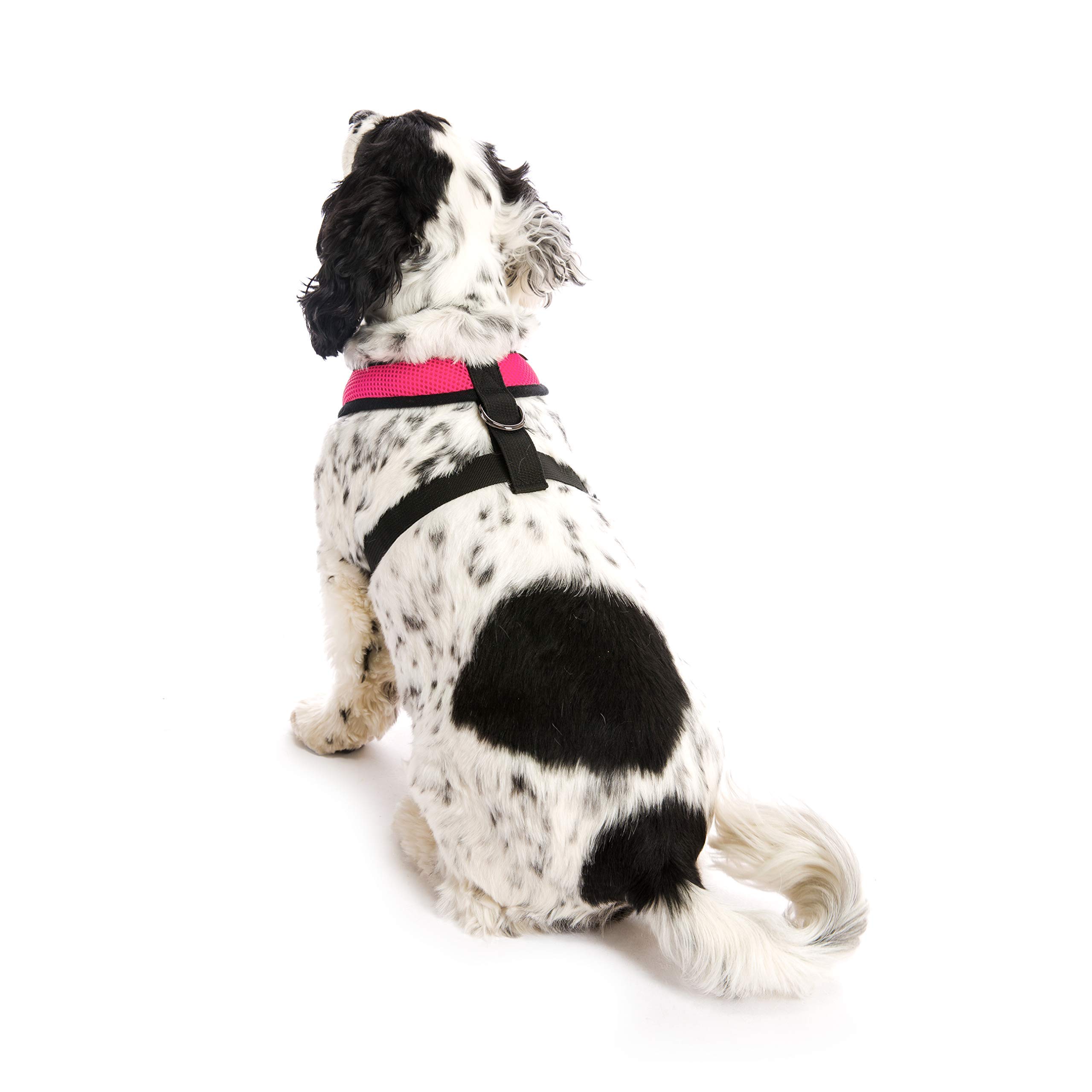 Product Photo 5