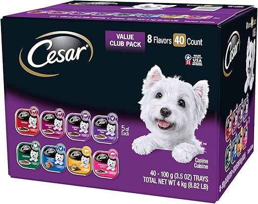 small beagles for adoption