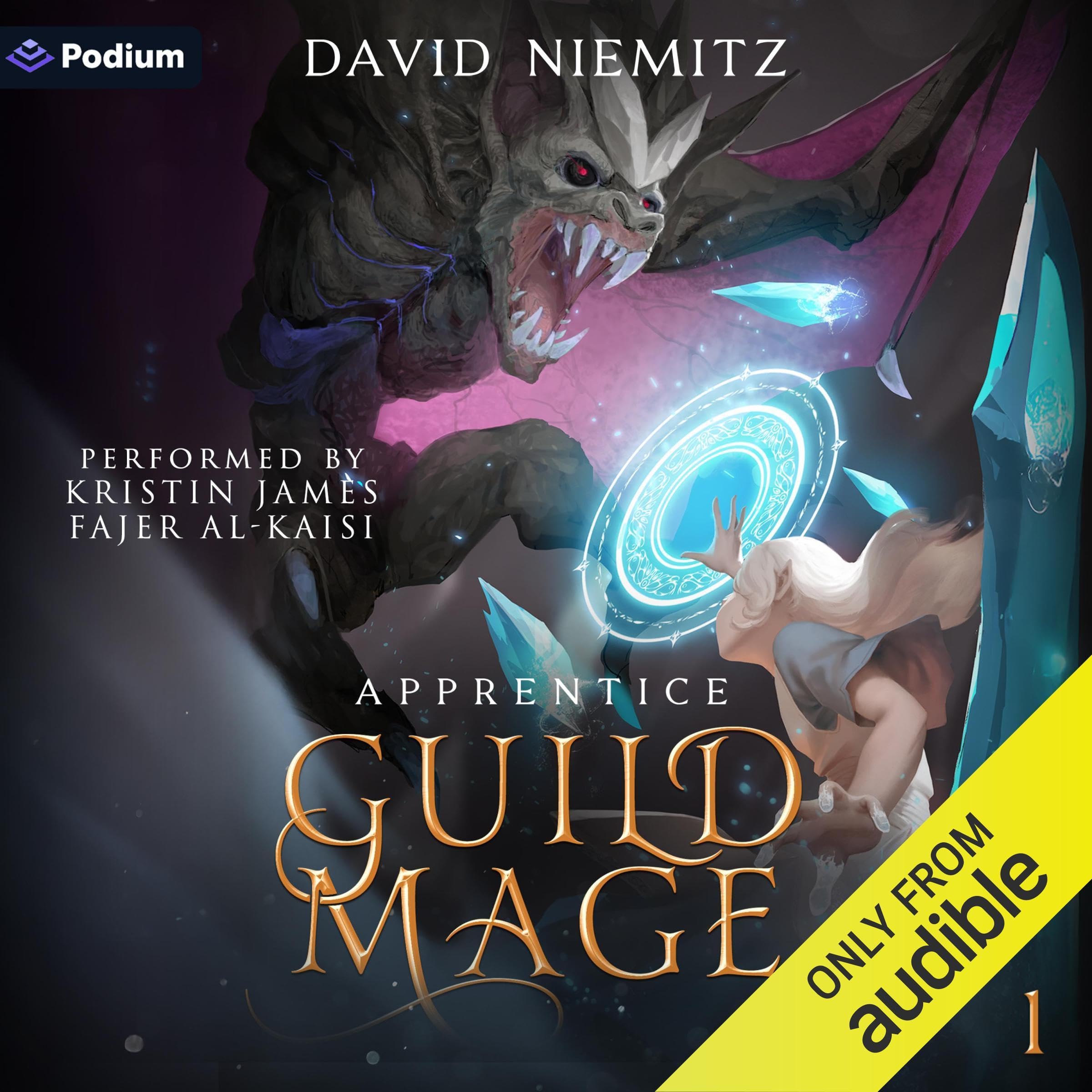 Guild Mage: Apprentice: Guild Mage, Book 1 Image