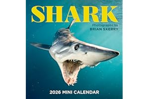 Shark Mini Wall Calendar 2026
