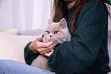 Sanicat Classic Unscented 10 L Cat Litter view 7