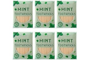 NUENEN 600 Pcs Mint Flavor Toothpicks Bulk Natural Wood Flavored Cinnamon Toothpicks for Kitchen Restaurant Supply Adults Humans Oral Dental Health