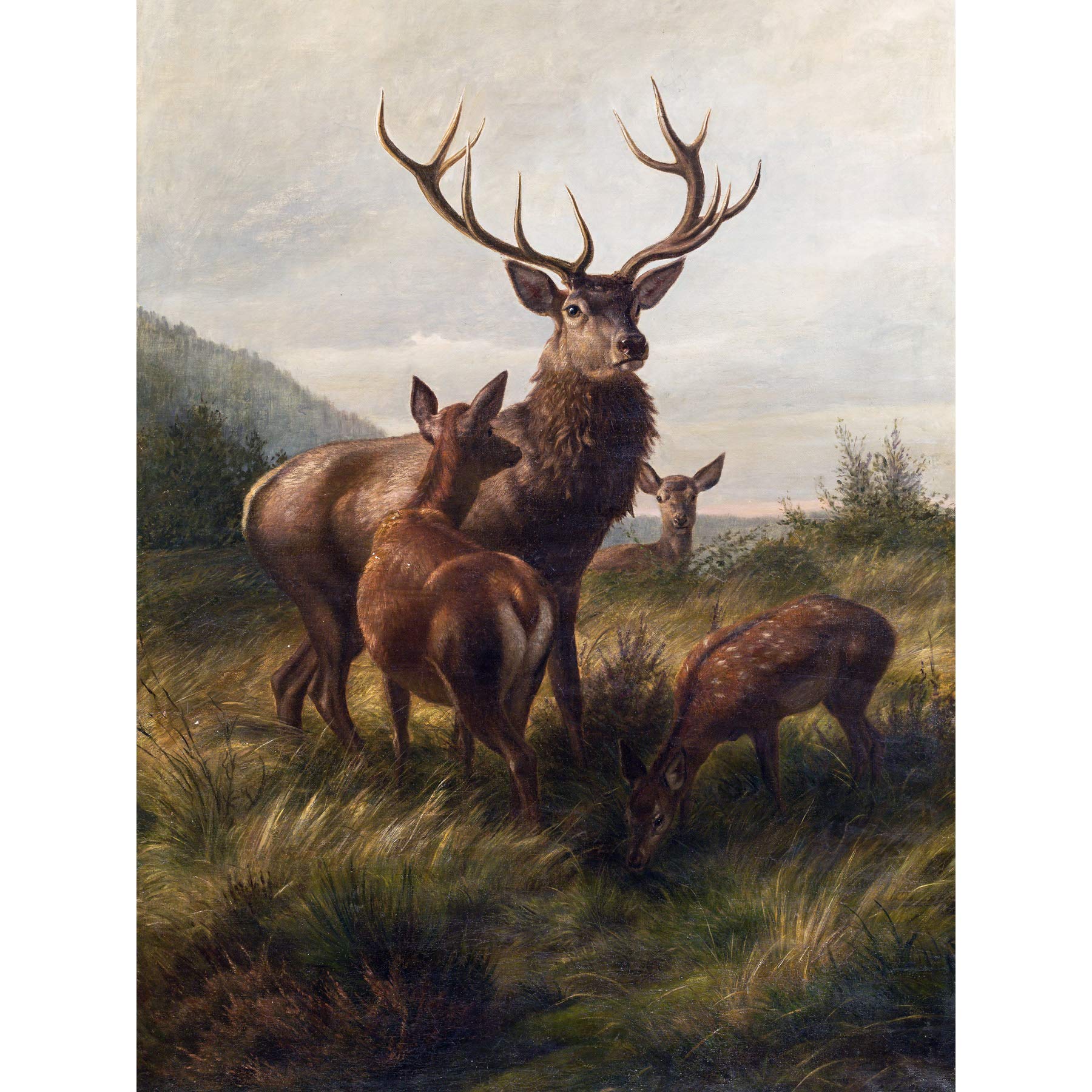 Fine Art Prints Deiker Stag Deer Antlers Doe Animal Nature Painting Large Wall Art Print Canvas Premium Mural, Brown