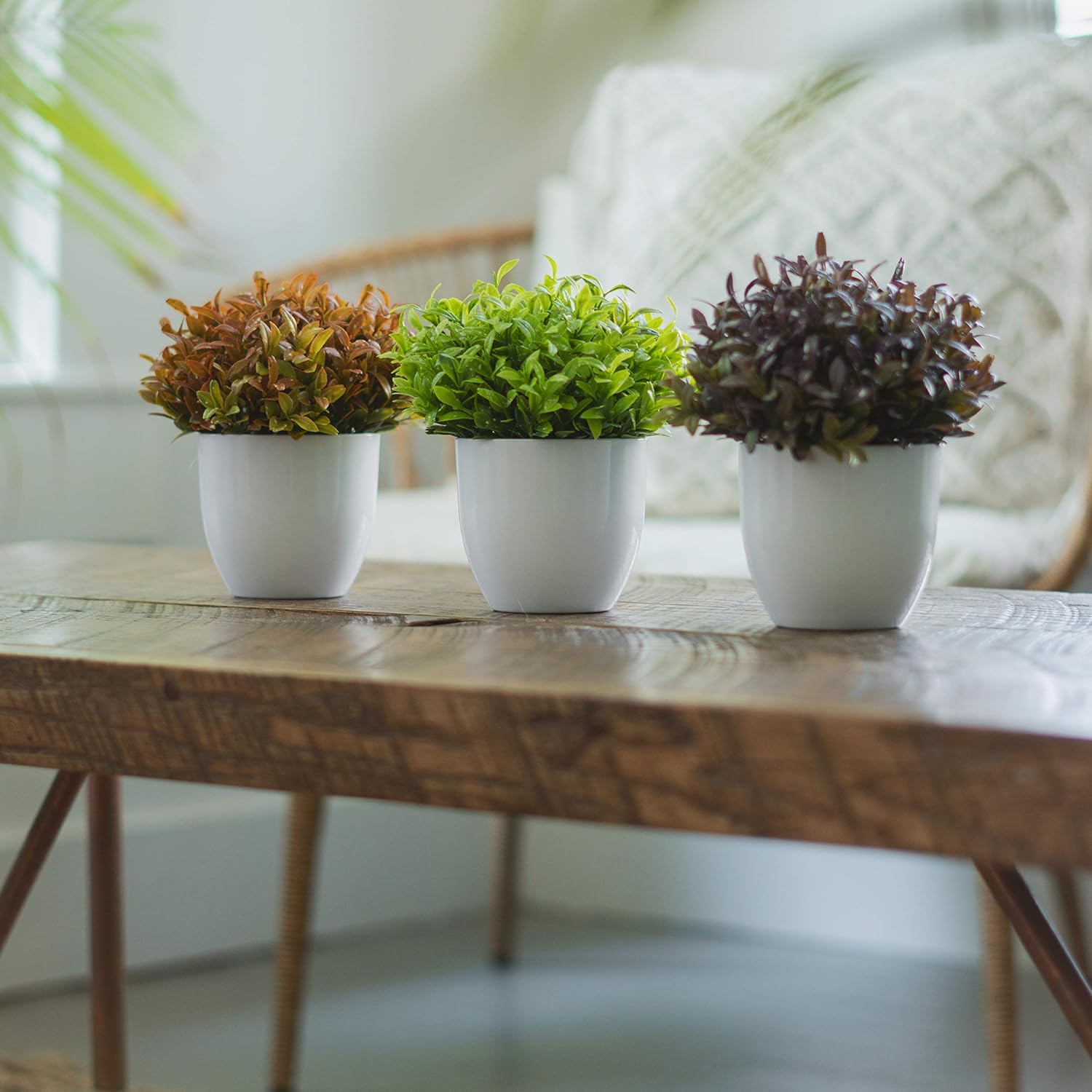 Plants+ Artificial Fake Faux Indoor House Desk Office Plant for Decoration - Plastic Lifelike Flower with White Pot, Outdoor Decor Topiary Greenery, Set of 3, Spring Bloom -