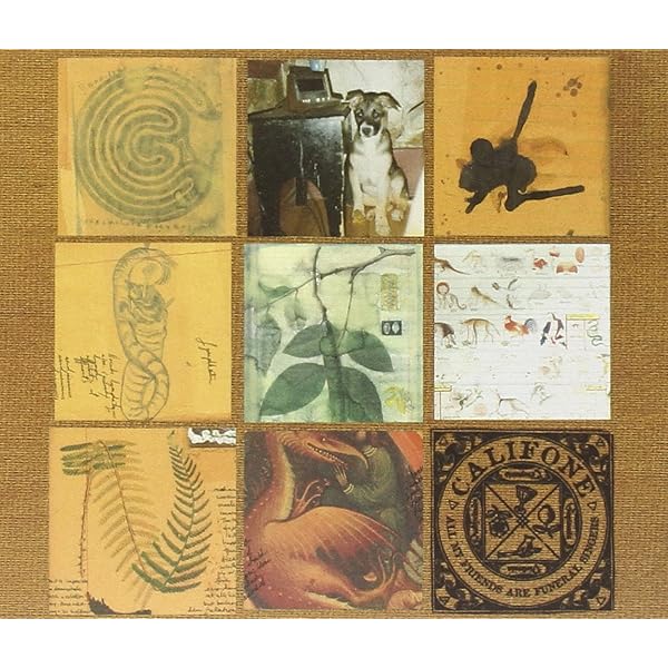 Tommy Guerrero - Year Of The Monkey - Amazon.com Music