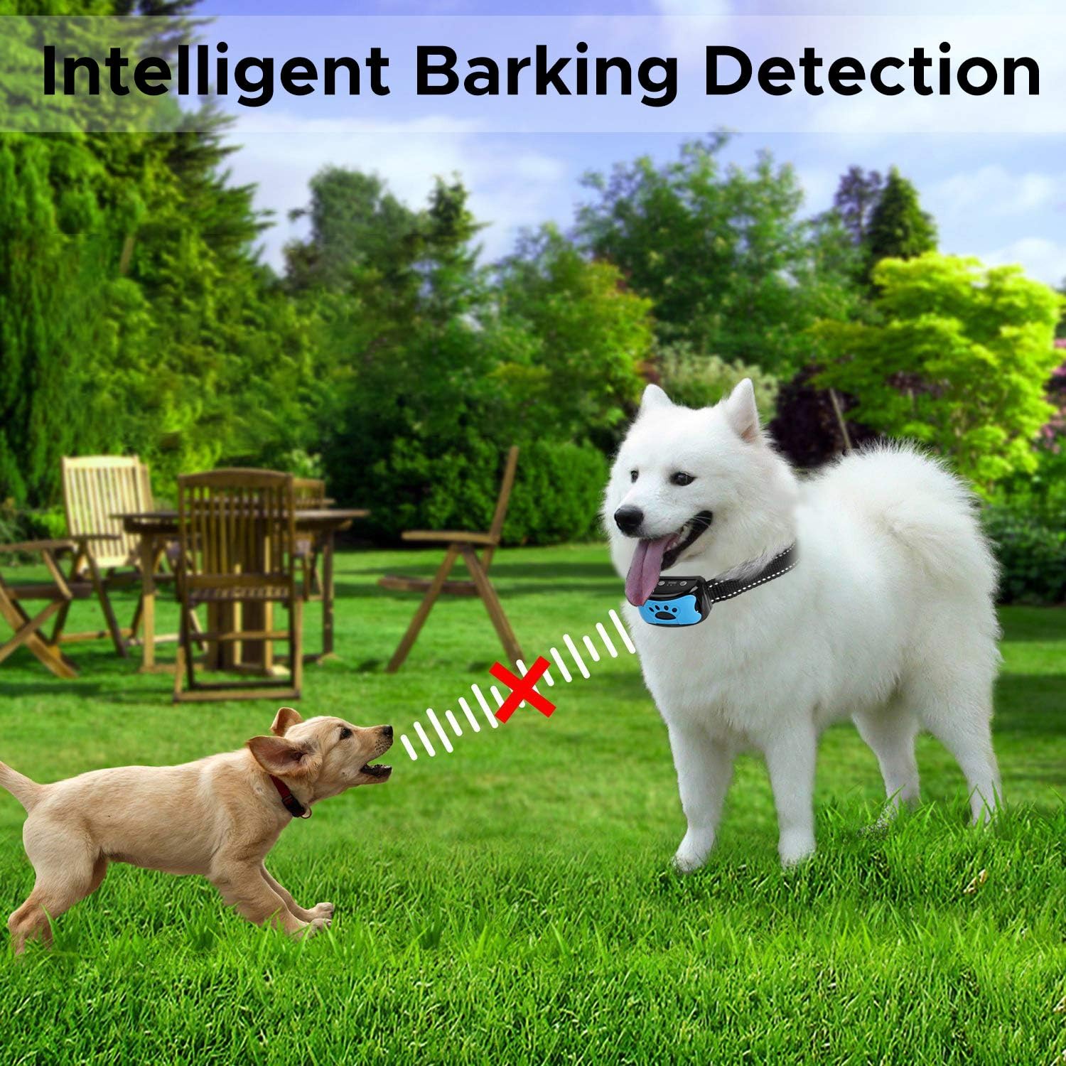 BATVOX Bark Collar 2 Pack Rechargeable No Harm Dog Barking Collar with Vibration, Sound and No Shock for Small Medium Large Dogs (2020 Upgraded) : Kitchen & Dining