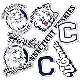 Desert Cactus UConn University of Connecticut Sticker Huskies Vinyl Decals Laptop Water Bottle Car Type 2 (T2 Vintage 2)