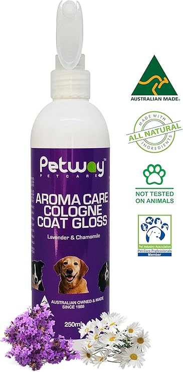 funny huskies talking