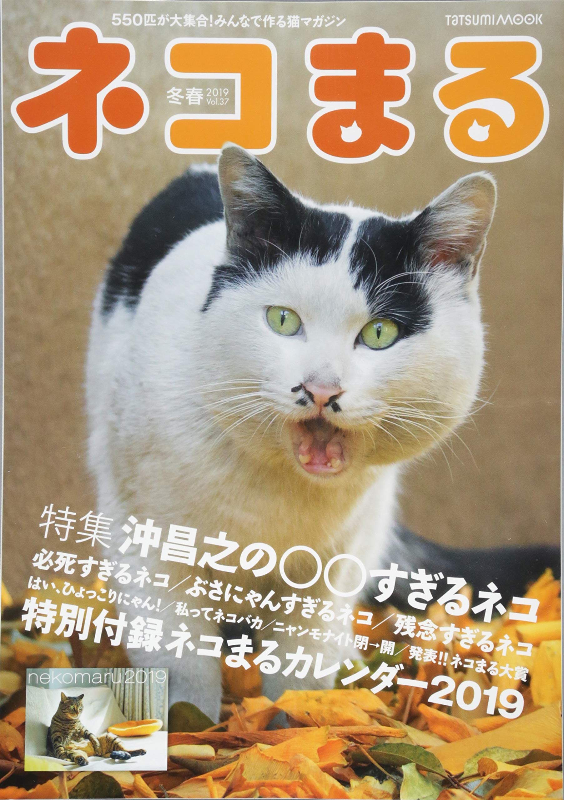 ネコまる 冬春号 Vol 37 タツミムック 本 通販 Amazon