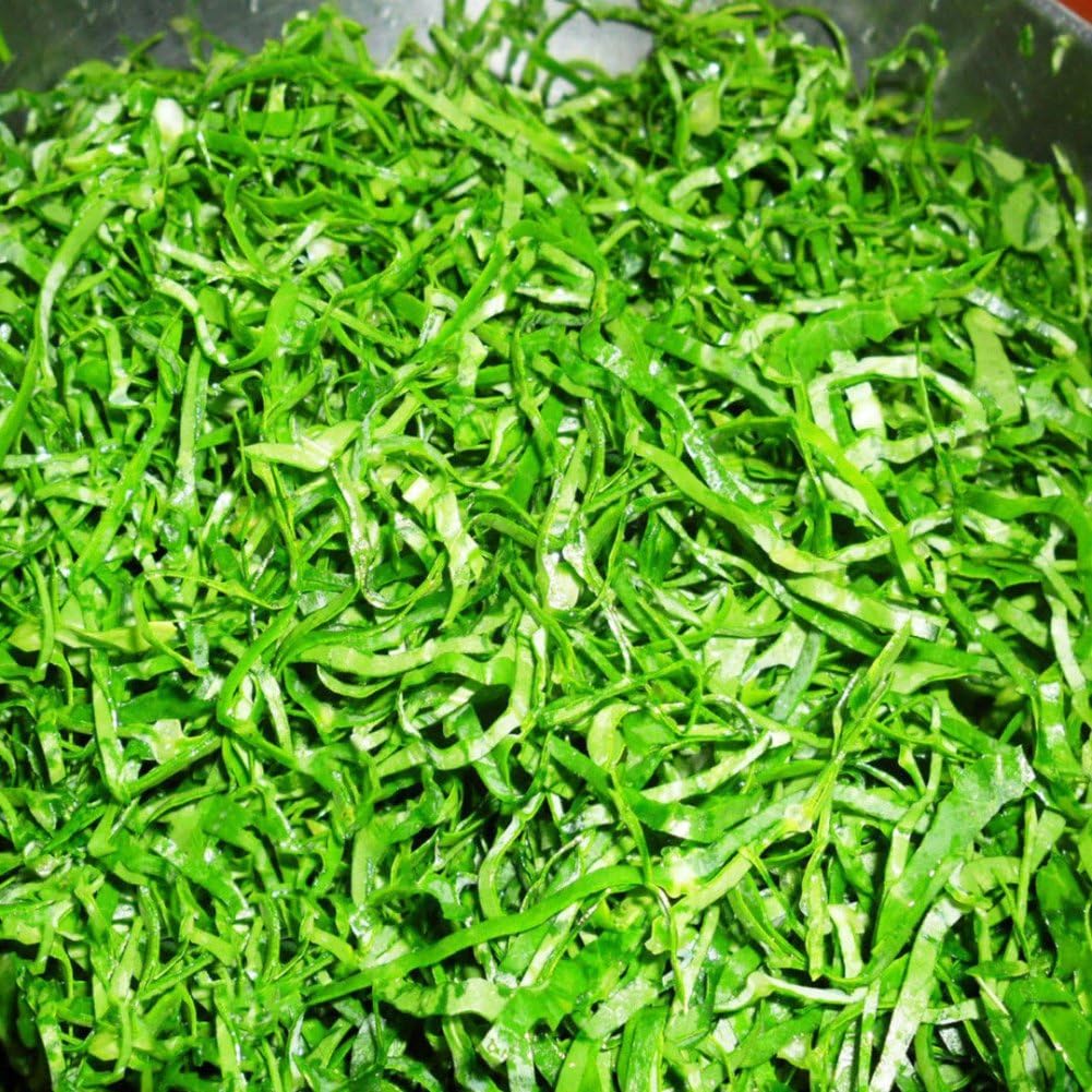 Flowers Patio, Lawn & Garden 100Pcs Collard Greens Seeds Couve Galega