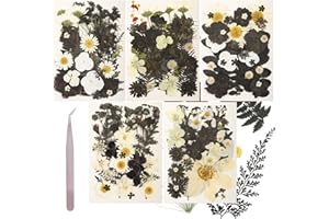 GVHNTK 165Pcs Dried Pressed Flowers Resin Mold Real Pressed Flowers Natural Dry Leaves Bulk Mixed Colorful Herbs Kit with Tweezers for Scrapbooking DIY Candle Jewelry Crafts Making Nails De(Dark Color)