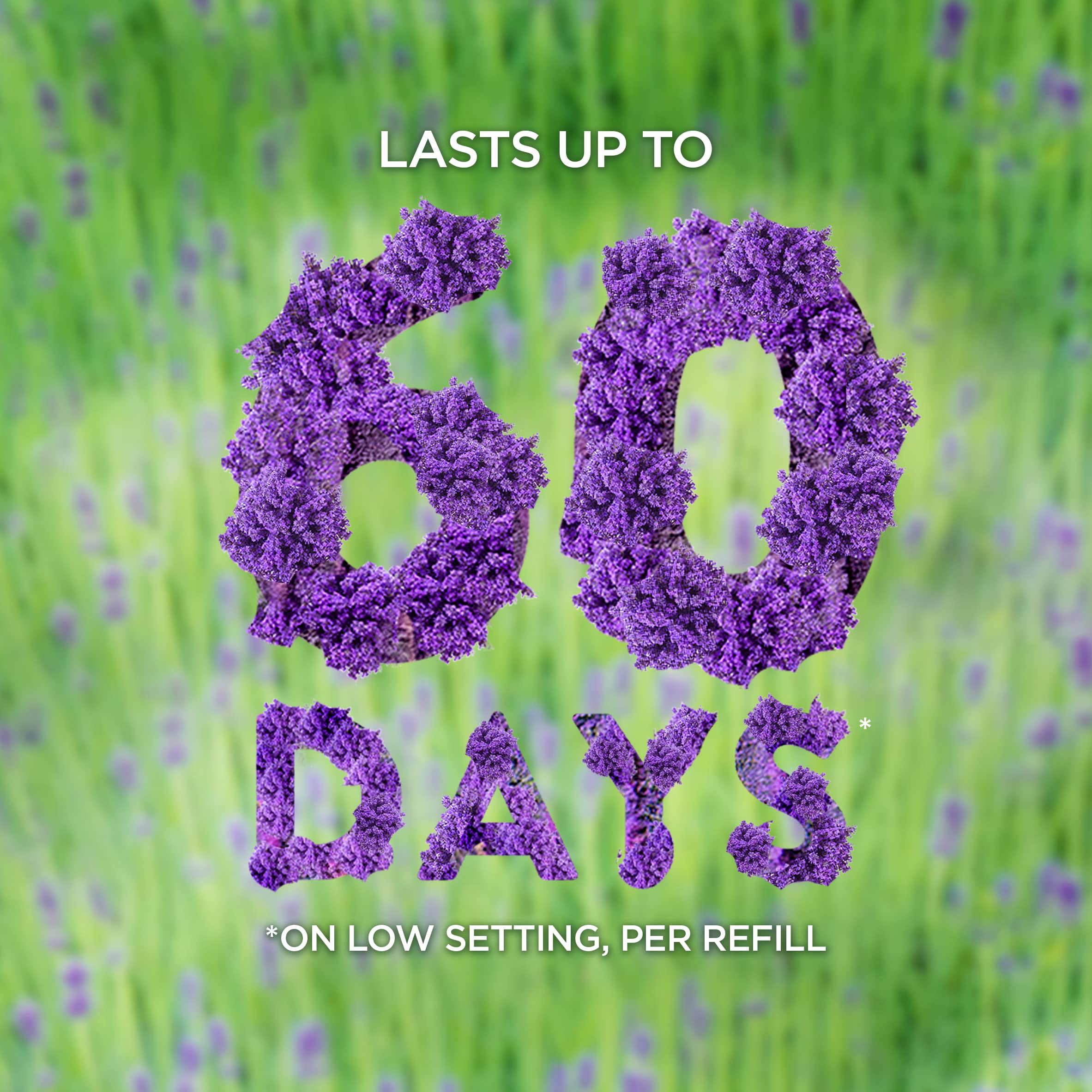 Air Wick Scented Oils 0+2 Fresh Pine & Juniper