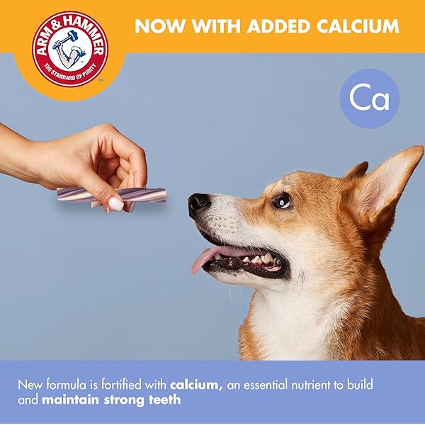 ARM & HAMMER FOR PETS SMOOTHIES DENTAL TREATS FOR DOGS WITH BAKING SODA AND CALCIUM, TREAT CHEWS HELP FIGHT BAD BREATH, PLAQUE & TARTAR, MINT BLUEBERRY & MINT, 8 PCS