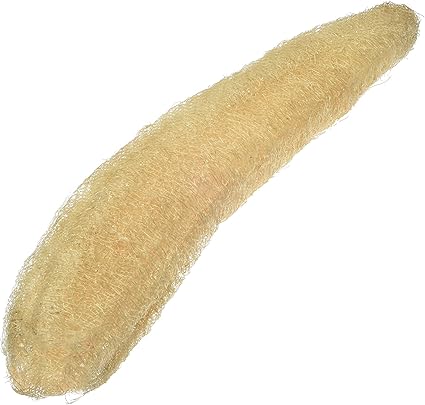 best loofah for dry skin