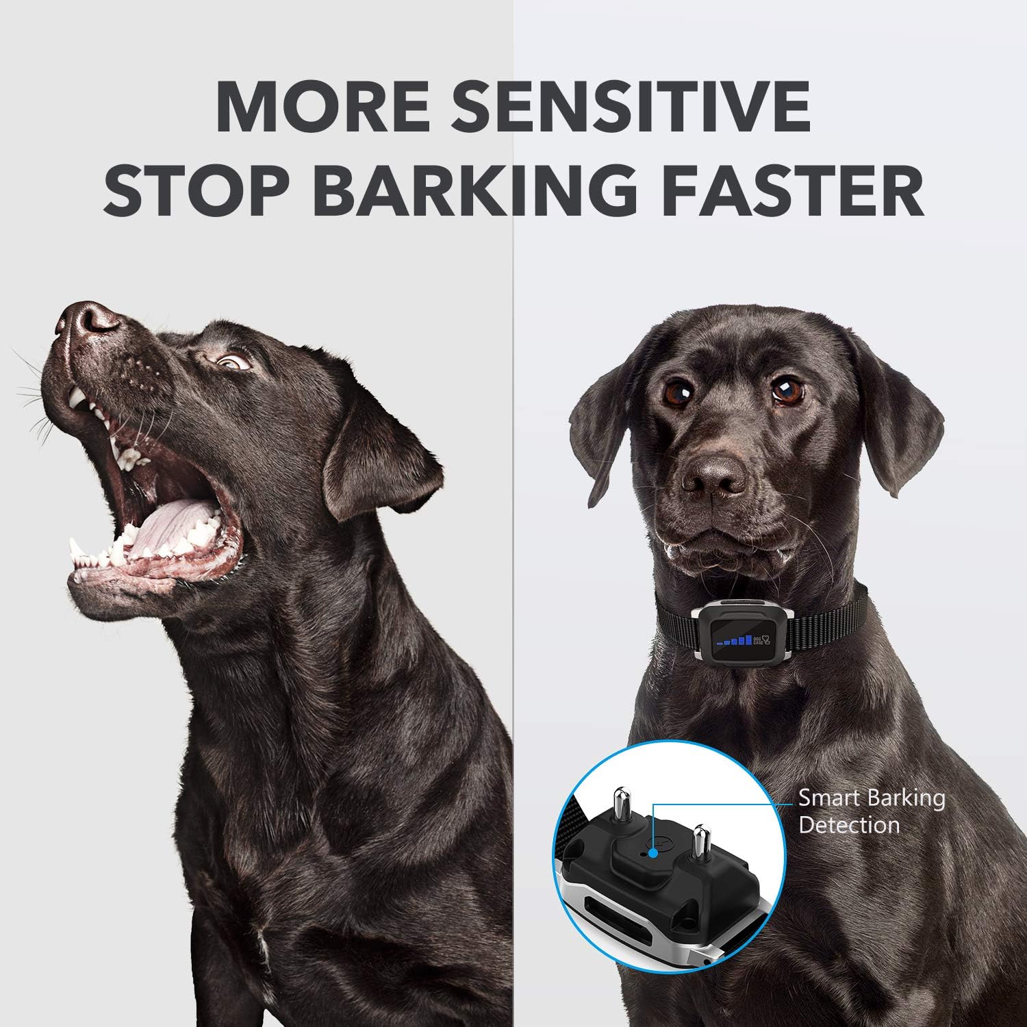 Rechargeable Bark Collar for Dogs - Dog Bark Collar w/2 Vibration and Static Modes, Auto 7 Levels Static Modes, LED Indicator, No Bark Collar for Small Medium Large Dogs, Safe and Humane : Kitchen & Dining
