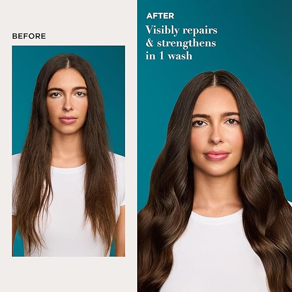 OGX RENEWING + ARGAN OIL OF MOROCCO SHAMPOO, DAMAGE REPAIR SHAMPOO & ARGAN OIL TO HELP STRENGTHEN & REPAIR DRY, DAMAGED HAIR, PARABEN-FREE, SULFATE-FREE SURFACTANTS, 25.4 FL. OZ