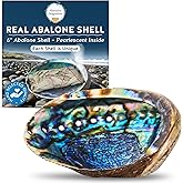Hand Selected Abalone Shell, 6-Inch+ Polished Smudging &amp; Display Bowl | Natural mother-of-pearl dish for burning herbs, holding incense, crystals, jewelry, d&eacute;cor, rituals, and altar displays.