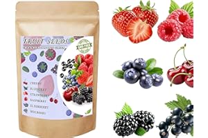 1500pcs Fruit Seed Mix, 6 Varieties, Non-GMO Heirloom Seeds, Strawberry, Raspberry, Blueberry, Cherry, Elderberry, Mulberry