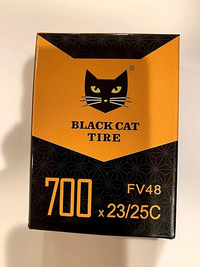 easiest terrier to train