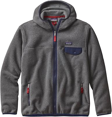 patagonia hoodie zip