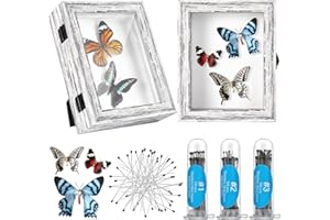 MACARRIE 2 Pcs Insect Display Case Collection Shadow Boxes With Clear Top EVA Foam Pinning Board and 300 Pcs 3 Sizes Pins - Butterfly Box Kit for Specimen, 7.87 x 6.3 x 2.05 Inch (Gray)