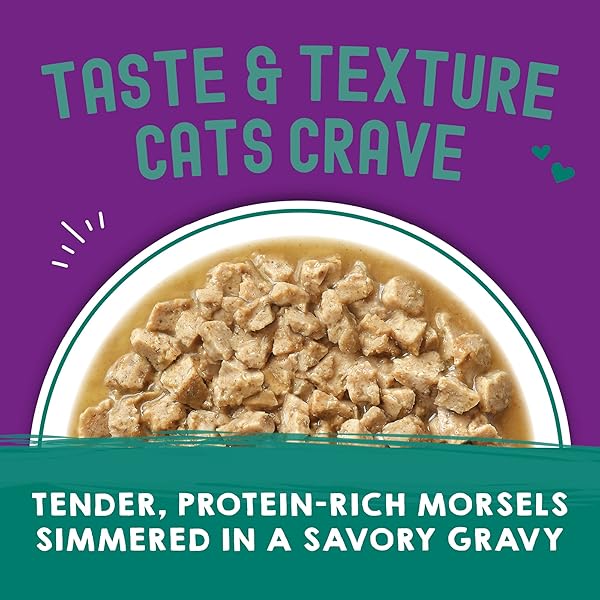 STELLA & CHEWY’S CARNIVORE CRAVINGS WET CAT FOOD POUCHES – PREMIUM SALMON & MACKEREL RECIPE – GRAIN-FREE MORSELS & GRAVY – PERFECT FOR PICKY EATERS – COMPLETE MEAL OR TOPPER – 2.8OZ, 12-PACK