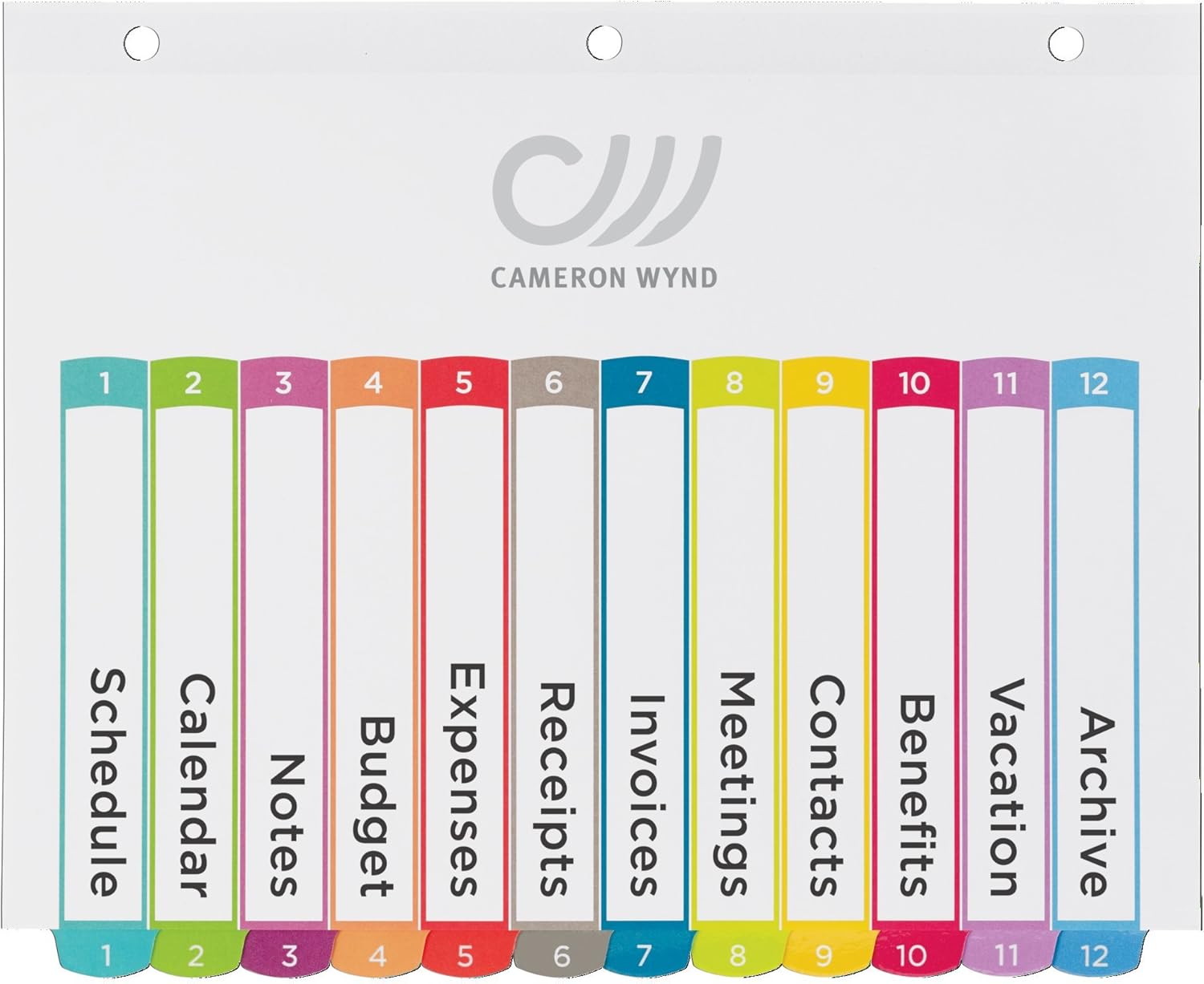 Avery 12 Tab Dividers for 3 Ring Binders, Customizable Table of Contents, Multicolor Tabs, 1 Set (11843) : Office Products