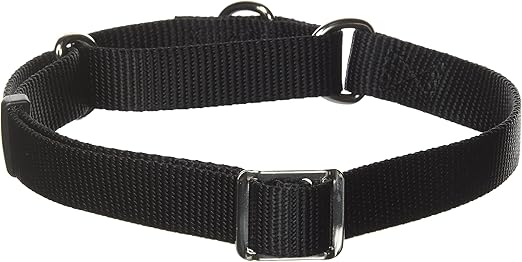 no slip dog collars