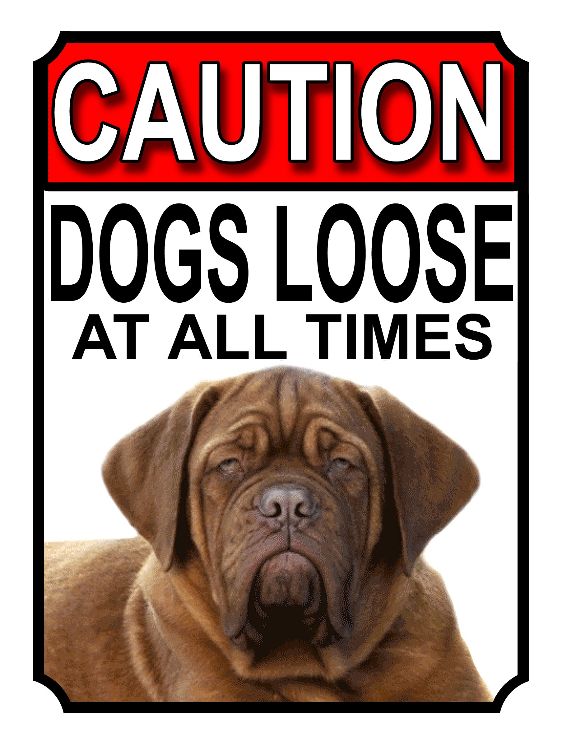 CAUTION DOGS LOOSE AT ALL TIMES METAL GATE SIGN DOGUE DE BORDEAUX 200MM X 150MM (1195H1) — image 1