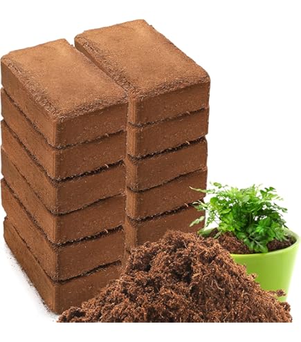 Adstraders Green Growth Coco Block - 75L, 5Kg Coco Coir Growing