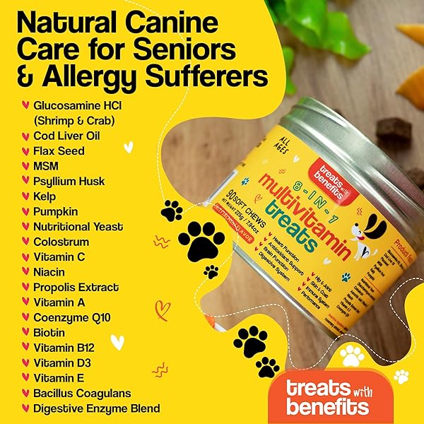 TREATS WITH BENEFITS DOG ALLERGY RELIEF – 8 IN 1 MULTIVITAMIN DOG CHEWABLES FOR SENIOR DOGS ALLERGIES – ANTIOXIDANT SUPERFOOD PET VITAMINS FOR DIGESTION, HIP, JOINT, HEART, BRAIN HEALTH, 90 SOFT CHEWS