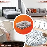READY STEADY DEFEND Bed Bug Traps Pack of 4 Early Detection Non-Toxic view 4