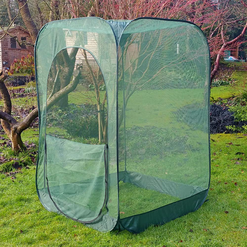 Protector de fácil montaje para frambuesas: Amazon.es: Jardín