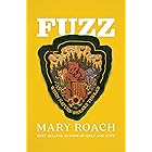 Fuzz: When Nature Breaks the Law